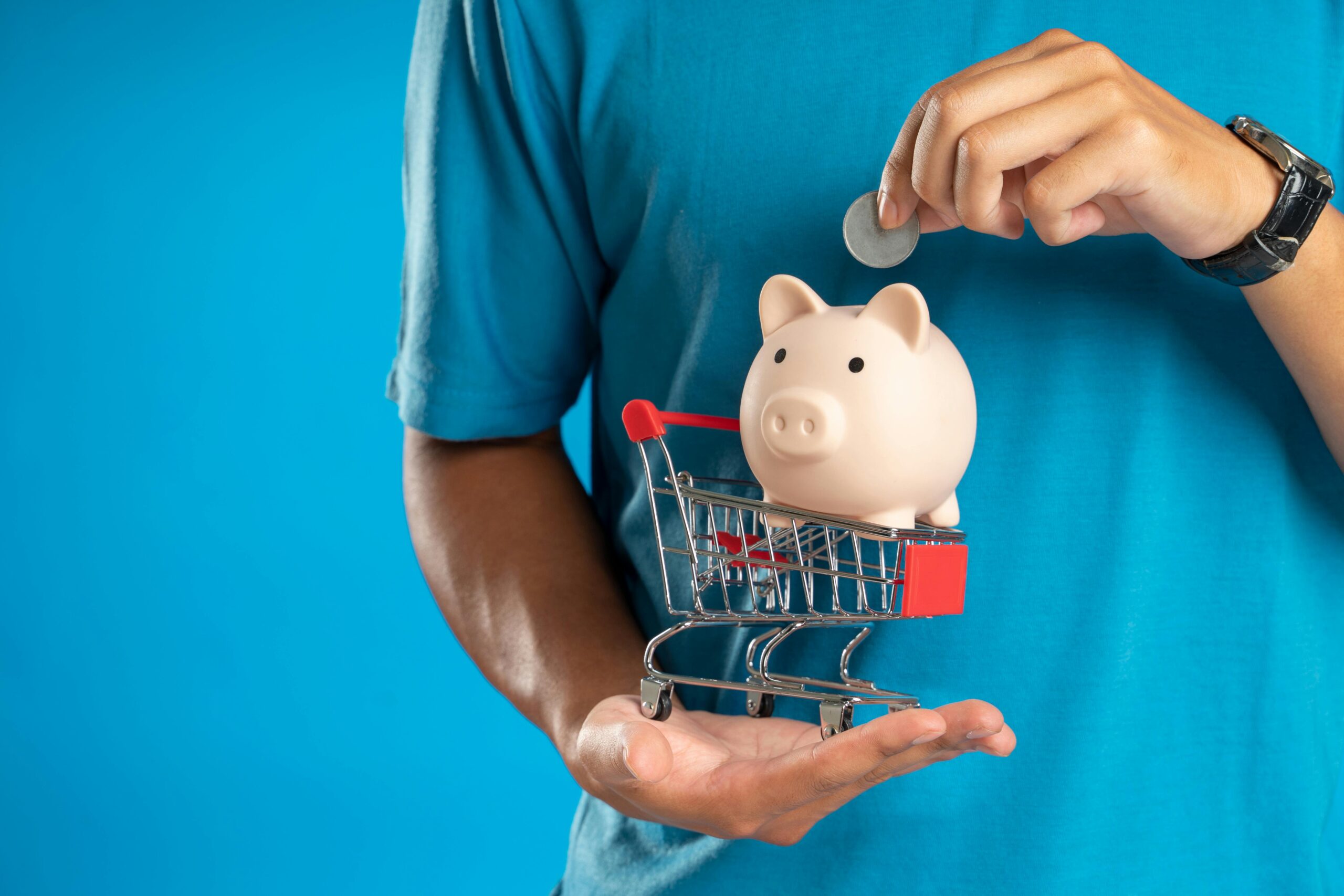 Piggybank Savings
